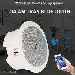 Loa âm trần nghe nhạc Bluetooth KS-812B công suất 20W