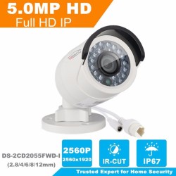 Camera HIKVISION DS-2CD2055FWD-I IPC hồng ngoại 5.0 MP